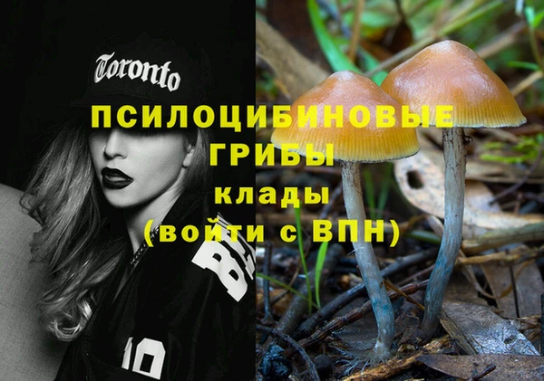 spice Покровск
