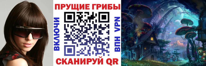 hydra онион  Ессентуки  Галлюциногенные грибы Cubensis 